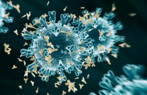 come rinforzare le difese immunitarie in menopausa