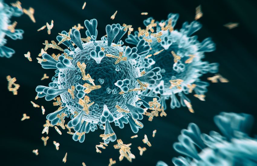come rinforzare le difese immunitarie in menopausa